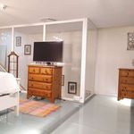 Rent 1 bedroom apartment of 87 m² in Madrid