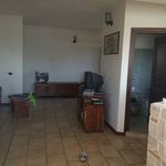 Rent 4 bedroom apartment of 100 m² in Patrica