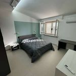 Affitto 2 camera appartamento di 55 m² in Nola