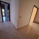 Affitto 4 camera appartamento di 114 m² in Ciampino
