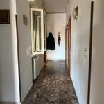 Rent 3 bedroom apartment of 110 m² in Anzio