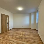 Rent 1 bedroom apartment of 23 m² in Olomouc