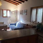Rent 4 bedroom house of 150 m² in Monte Argentario