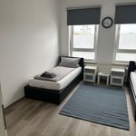Rent 2 bedroom apartment of 49 m² in Kiel
