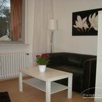 Rent 1 bedroom apartment of 33 m² in Braunschweig