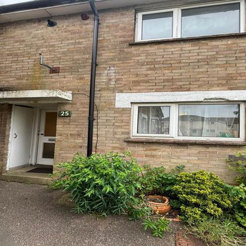 End terrace house to rent in Chedburgh Place, Haverhill, Suffolk CB9 Little London