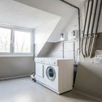 Rent 1 bedroom apartment of 35 m² in dusseldorf