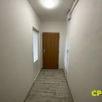 Pronajměte si 3 ložnic/e byt o rozloze 55 m² v Litvínov