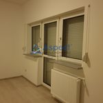Rent 4 bedroom house of 245 m² in Szczecin