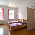 Rent 2 bedroom house in Pilsen