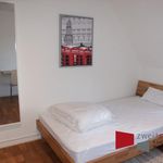 Rent a room of 13 m² in Osnabrück