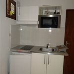 Rent 1 bedroom apartment of 21 m² in Olliergues