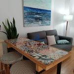 Rent 1 bedroom apartment of 50 m² in Cadiz