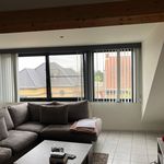 Rent 1 bedroom apartment of 56 m² in Herselt