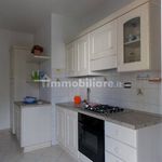 Affitto 3 camera appartamento di 50 m² in Empoli