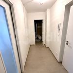 Rent 2 bedroom apartment of 40 m² in Pardubice