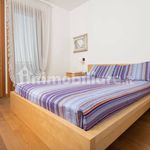 Rent 3 bedroom apartment of 120 m² in Mirano