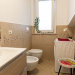 Rent 1 bedroom apartment of 85 m² in Ciampino