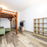 Rent 1 bedroom apartment of 39 m² in Usti Nad Labem