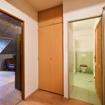 Rent 1 bedroom apartment of 28 m² in Litomerice