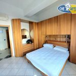 Rent 3 bedroom apartment of 130 m² in Camaiore