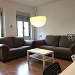 Rent a room of 260 m² in Abusejo