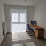 Rent 3 bedroom apartment of 70 m² in Wiesbaden