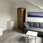 Rent 3 bedroom apartment of 35 m² in Gütersloh