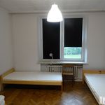 Wynajmij 8 sypialnię dom z 160 m² w Opole Lubelskie
