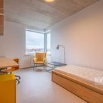 Rent 4 bedroom apartment of 68 m² in Hradec Králové