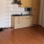 Rent 1 bedroom apartment of 45 m² in Lindenheuvel