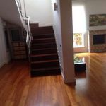 Rent 6 bedroom house of 300 m² in Palermo