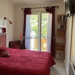 Rent 1 bedroom apartment in PerpignanT