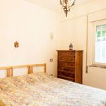 Rent 2 bedroom apartment of 65 m² in Civitavecchia