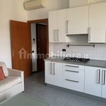Rent 3 bedroom apartment of 60 m² in Monza