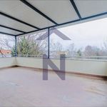 Rent 10 bedroom house of 450 m² in City of Zagreb
