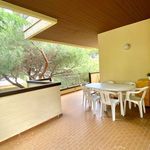 Rent 3 bedroom apartment of 100 m² in Riccione