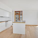 Rent 3 bedroom apartment of 149 m² in Hellerup
