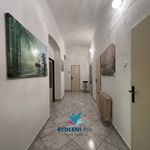 Rent 1 bedroom apartment of 143 m² in Teplice