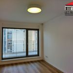 Rent 3 bedroom apartment of 42 m² in Brno