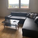 Rent 1 bedroom apartment of 39 m² in Nový Bor