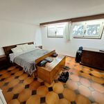 Rent 1 bedroom apartment of 60 m² in Modena