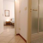 Affitto 1 camera appartamento di 60 m² in Bologna