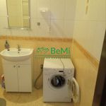 Rent 2 bedroom apartment of 56 m² in Petrovice I
