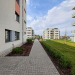 Rent 1 bedroom apartment of 31 m² in Veszprém