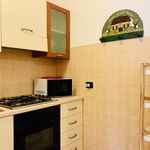 Rent 1 bedroom apartment of 38 m² in Sesto San Giovanni
