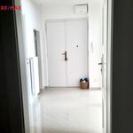 Rent 3 bedroom apartment of 72 m² in Bilina