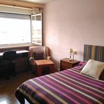 Alquilar 7 dormitorio apartamento en Salamanca