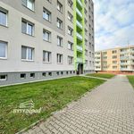 Pronajměte si 2 ložnic/e byt o rozloze 41 m² v Brno