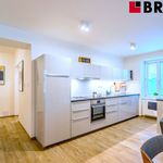 Rent 4 bedroom apartment of 90 m² in Brno